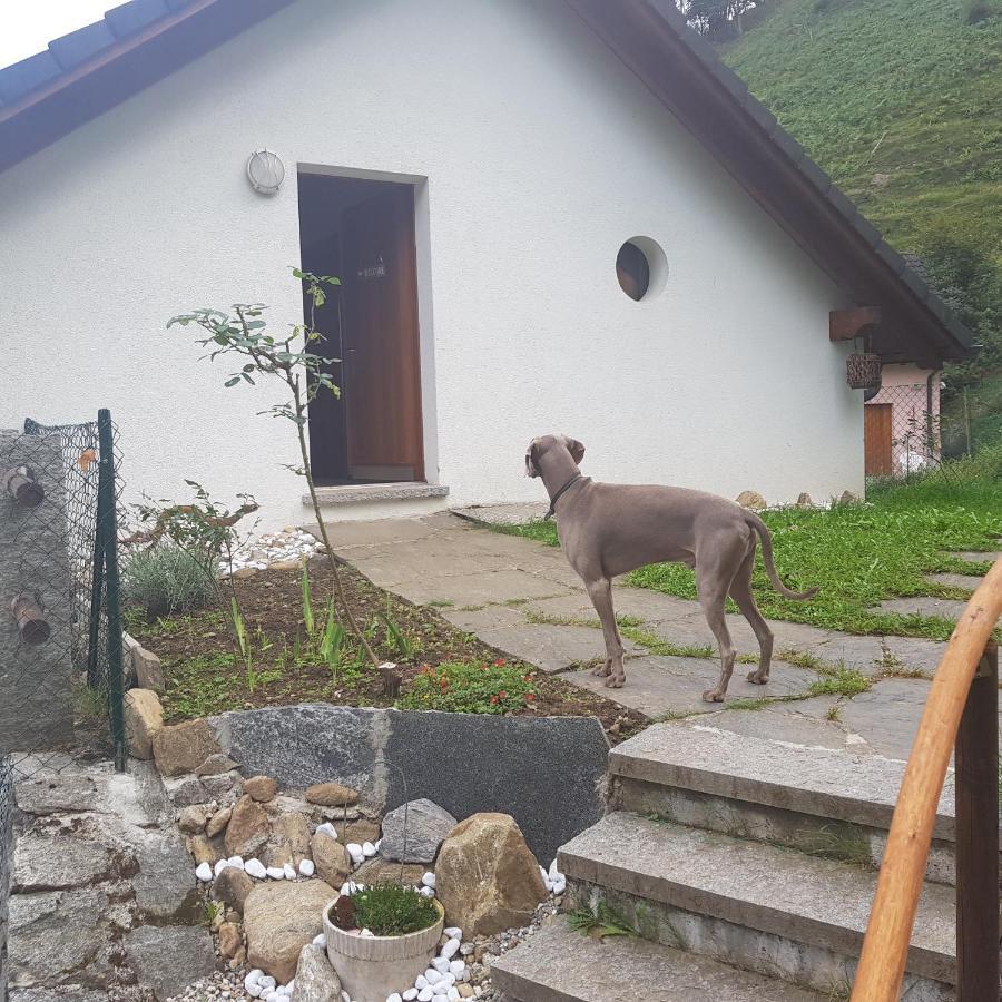 Appartamento Casa sole Leontica Esterno foto